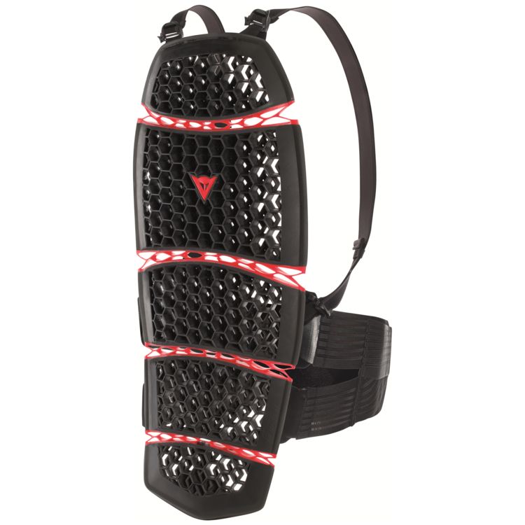Защита DAINESE PRO-ARMOR BACK LONG