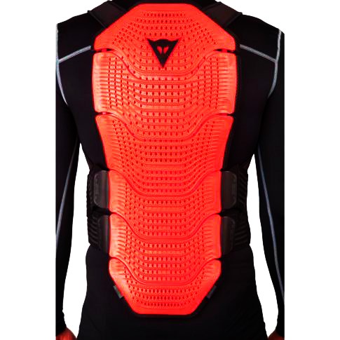 Защита DAINESE MANIS WINTER 55