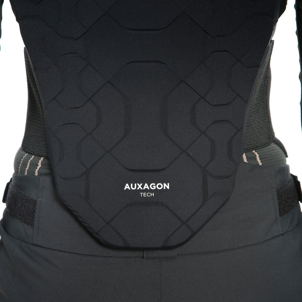 Защита DAINESE AUXAGON BACK PROTECTOR 1